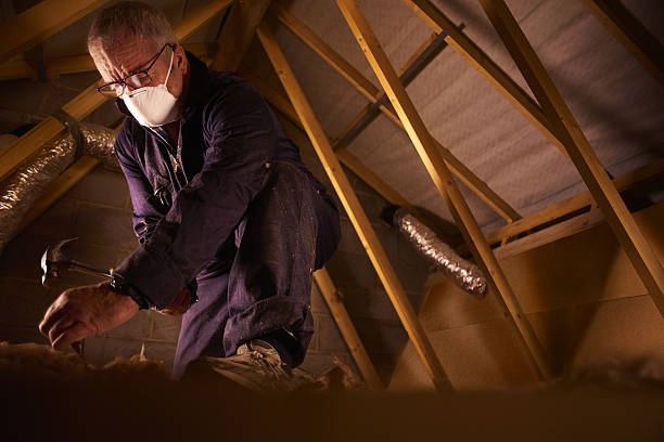 Best Insulation Removal  in Oradell, NJ